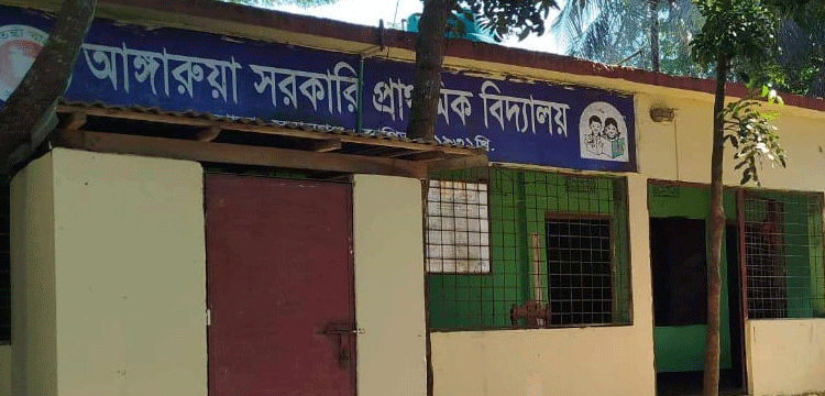 প্রধান উপদেষ্টা পদত্যাগ করবেন না: ফাইজ তাইয়েব আহমেদ