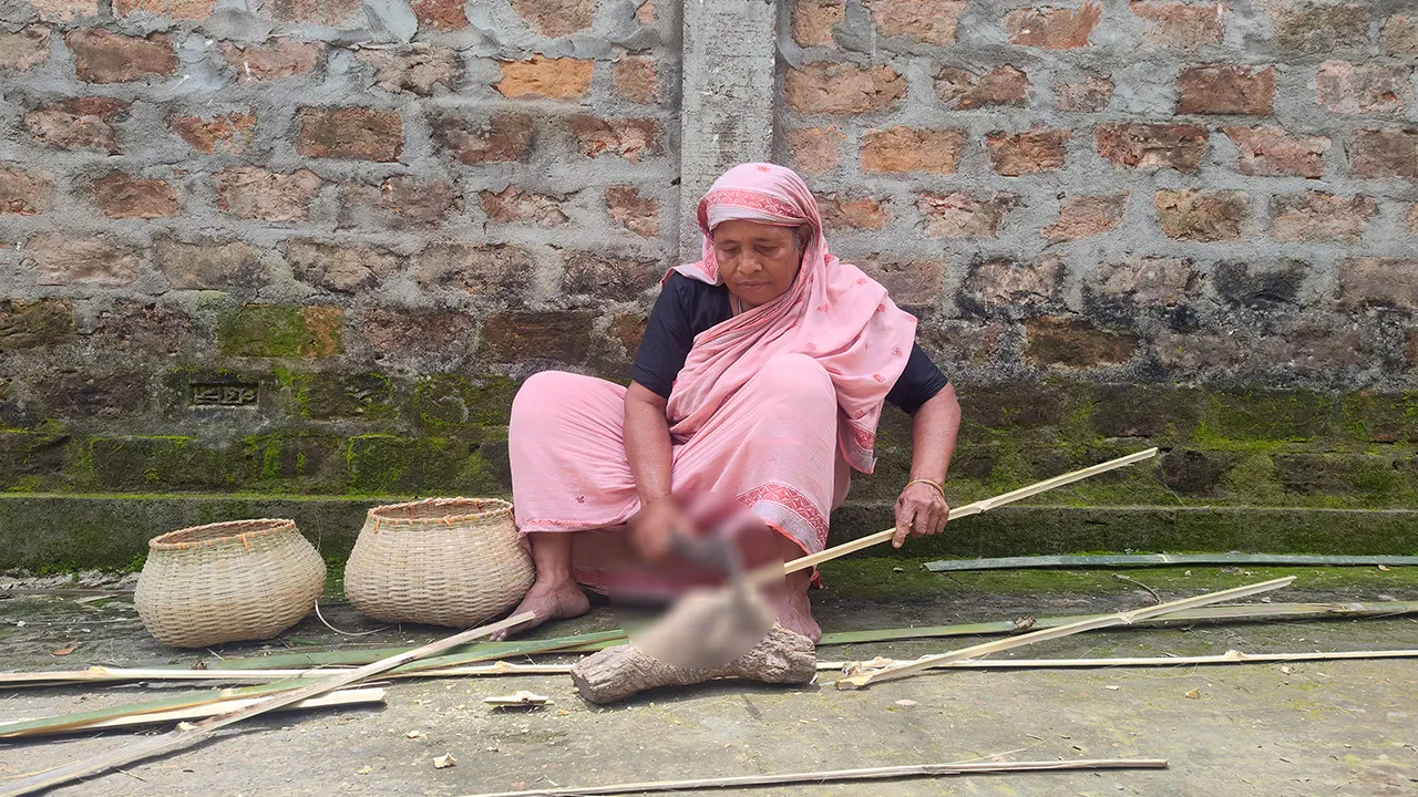 প্রধান উপদেষ্টা পদত্যাগ করবেন না: ফাইজ তাইয়েব আহমেদ