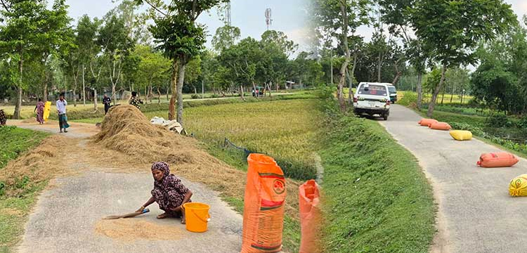 প্রধান উপদেষ্টা পদত্যাগ করবেন না: ফাইজ তাইয়েব আহমেদ