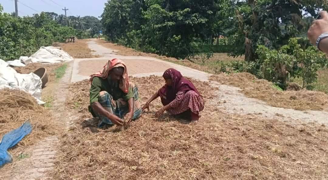 প্রধান উপদেষ্টা পদত্যাগ করবেন না: ফাইজ তাইয়েব আহমেদ