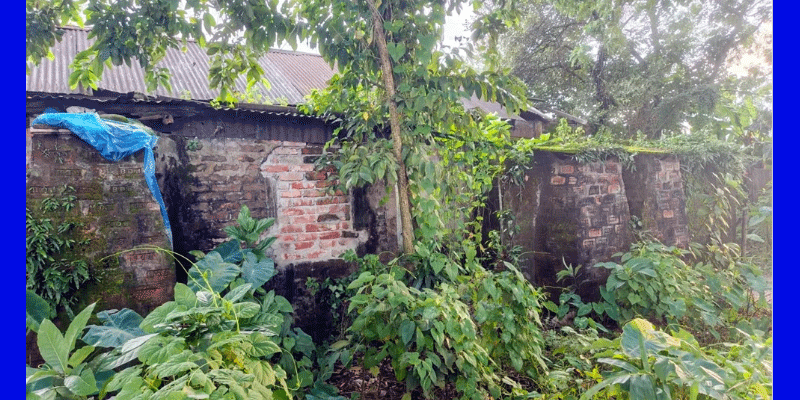 প্রধান উপদেষ্টা পদত্যাগ করবেন না: ফাইজ তাইয়েব আহমেদ