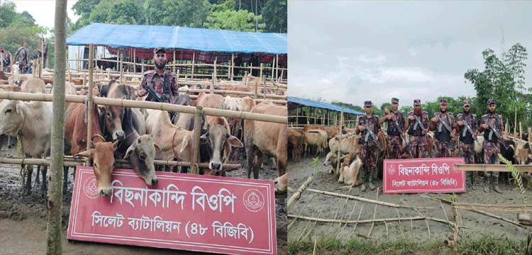 প্রধান উপদেষ্টা পদত্যাগ করবেন না: ফাইজ তাইয়েব আহমেদ