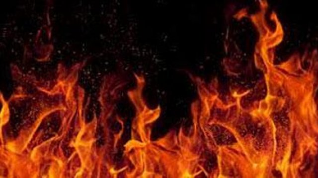 প্রধান উপদেষ্টা পদত্যাগ করবেন না: ফাইজ তাইয়েব আহমেদ