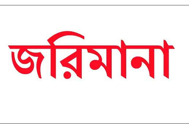 প্রধান উপদেষ্টা পদত্যাগ করবেন না: ফাইজ তাইয়েব আহমেদ