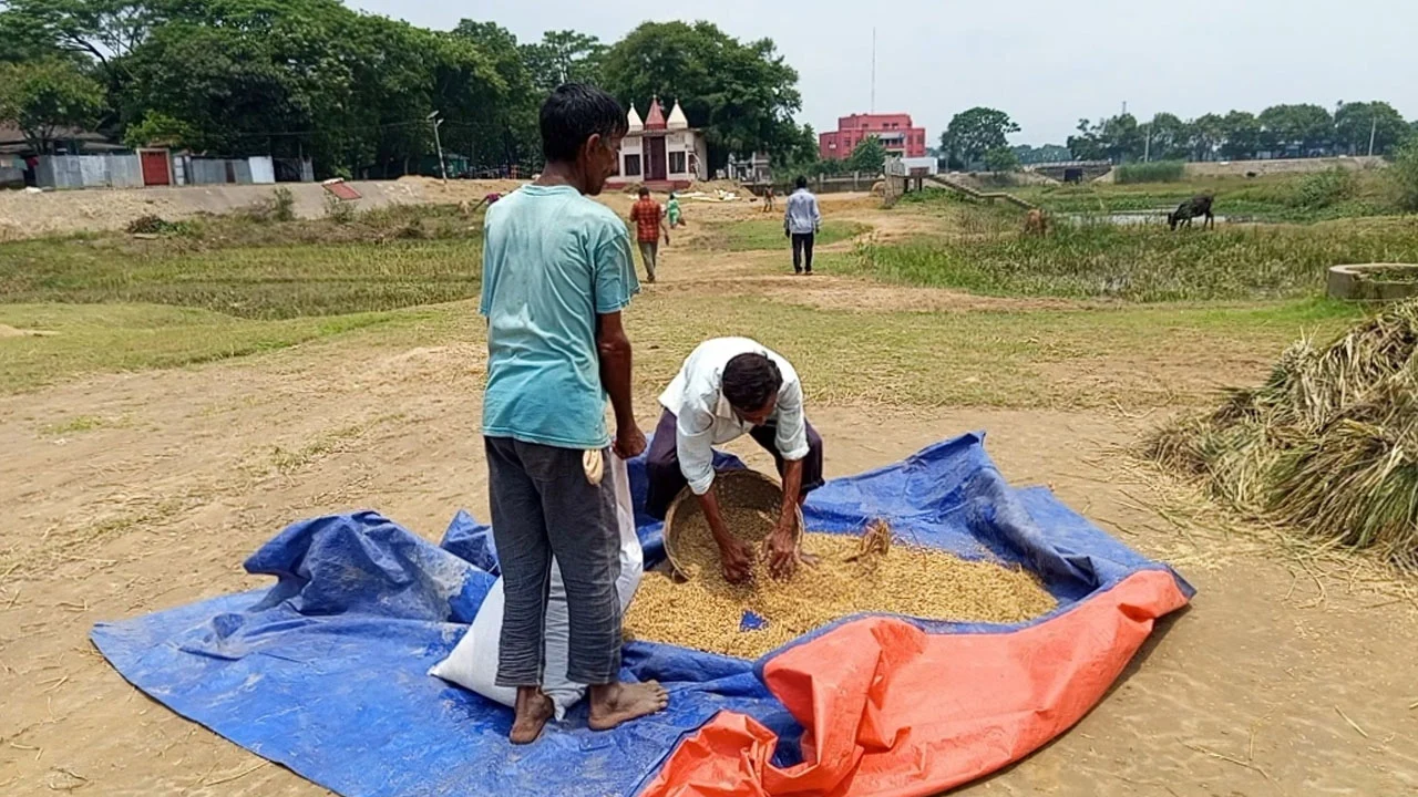 প্রধান উপদেষ্টা পদত্যাগ করবেন না: ফাইজ তাইয়েব আহমেদ