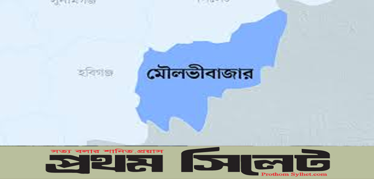 প্রধান উপদেষ্টা পদত্যাগ করবেন না: ফাইজ তাইয়েব আহমেদ