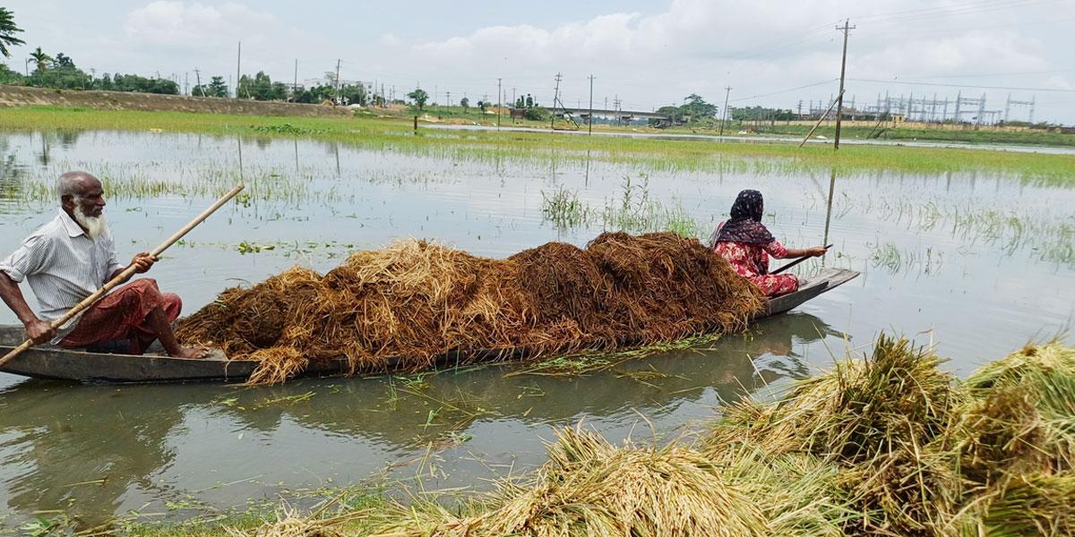 প্রধান উপদেষ্টা পদত্যাগ করবেন না: ফাইজ তাইয়েব আহমেদ