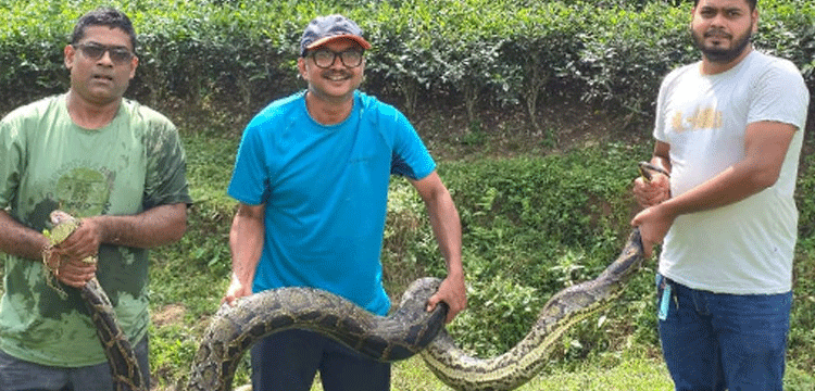 প্রধান উপদেষ্টা পদত্যাগ করবেন না: ফাইজ তাইয়েব আহমেদ