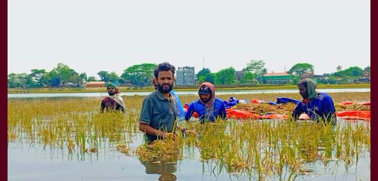 প্রধান উপদেষ্টা পদত্যাগ করবেন না: ফাইজ তাইয়েব আহমেদ