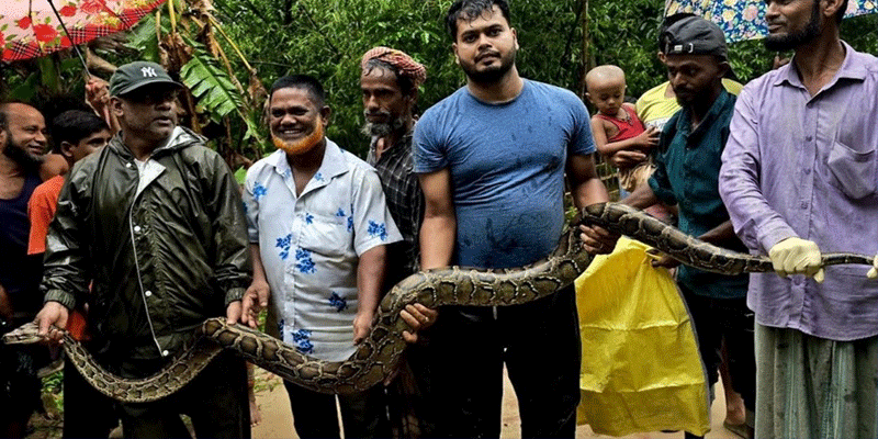 প্রধান উপদেষ্টা পদত্যাগ করবেন না: ফাইজ তাইয়েব আহমেদ