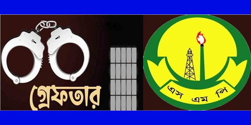 প্রধান উপদেষ্টা পদত্যাগ করবেন না: ফাইজ তাইয়েব আহমেদ