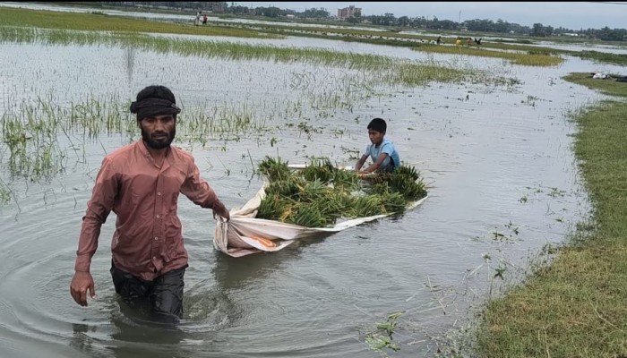 প্রধান উপদেষ্টা পদত্যাগ করবেন না: ফাইজ তাইয়েব আহমেদ