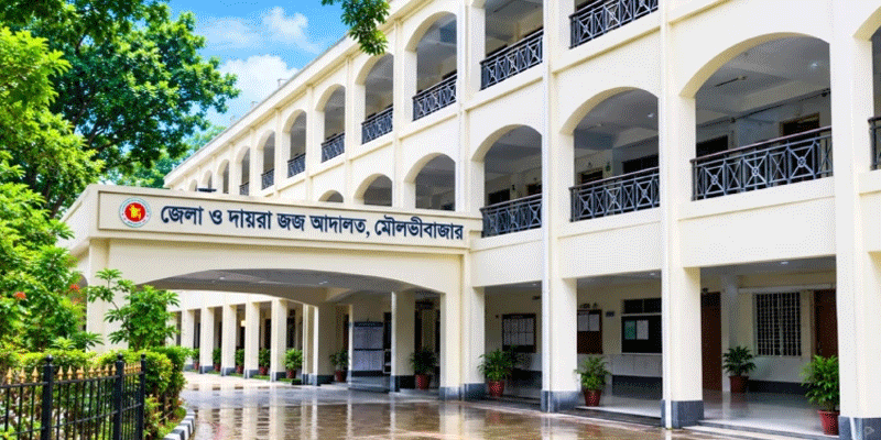 প্রধান উপদেষ্টা পদত্যাগ করবেন না: ফাইজ তাইয়েব আহমেদ