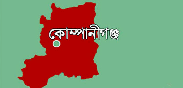 প্রধান উপদেষ্টা পদত্যাগ করবেন না: ফাইজ তাইয়েব আহমেদ