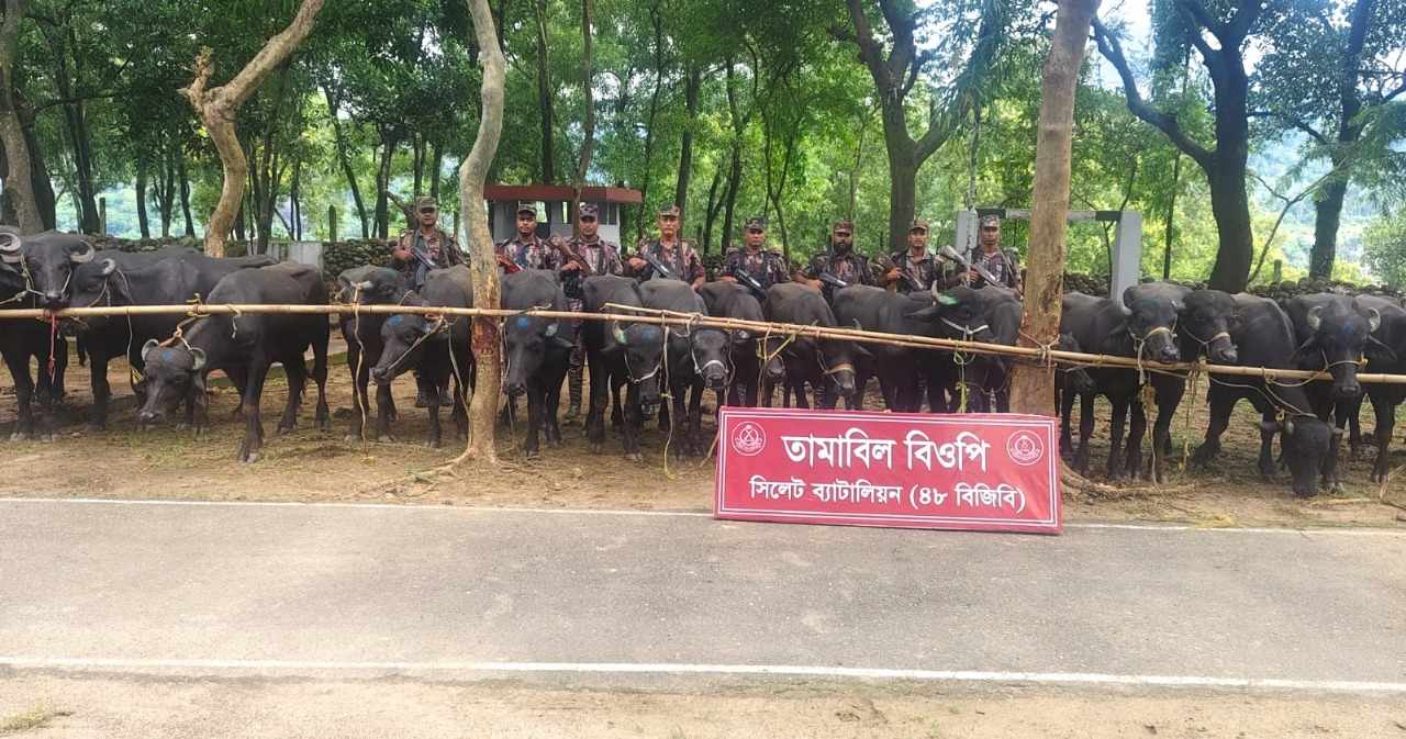প্রধান উপদেষ্টা পদত্যাগ করবেন না: ফাইজ তাইয়েব আহমেদ