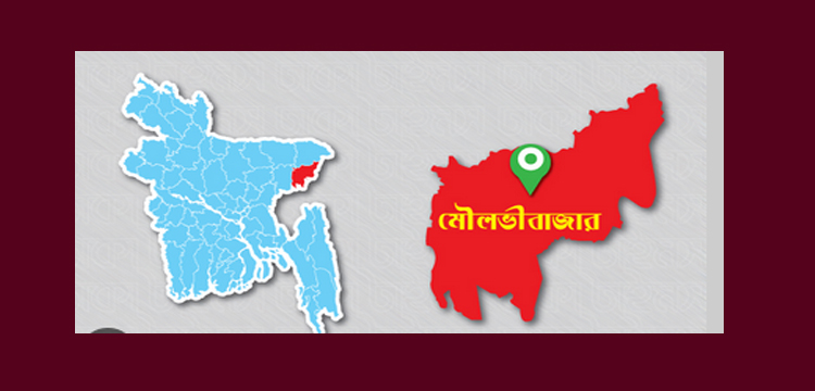 প্রধান উপদেষ্টা পদত্যাগ করবেন না: ফাইজ তাইয়েব আহমেদ