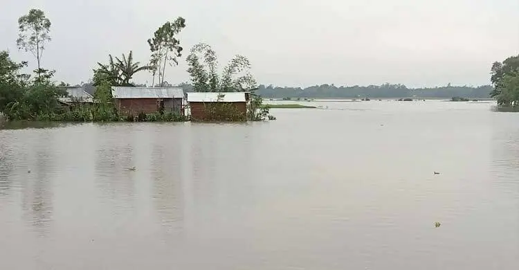 প্রধান উপদেষ্টা পদত্যাগ করবেন না: ফাইজ তাইয়েব আহমেদ