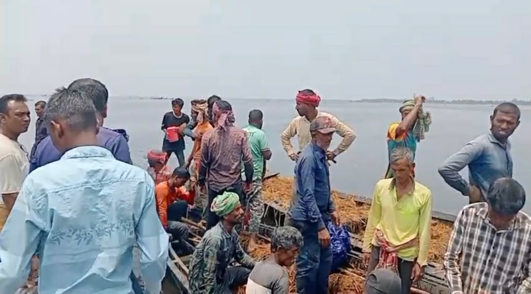 প্রধান উপদেষ্টা পদত্যাগ করবেন না: ফাইজ তাইয়েব আহমেদ