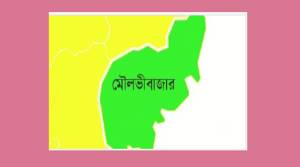 প্রধান উপদেষ্টা পদত্যাগ করবেন না: ফাইজ তাইয়েব আহমেদ