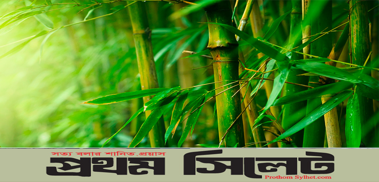 প্রধান উপদেষ্টা পদত্যাগ করবেন না: ফাইজ তাইয়েব আহমেদ