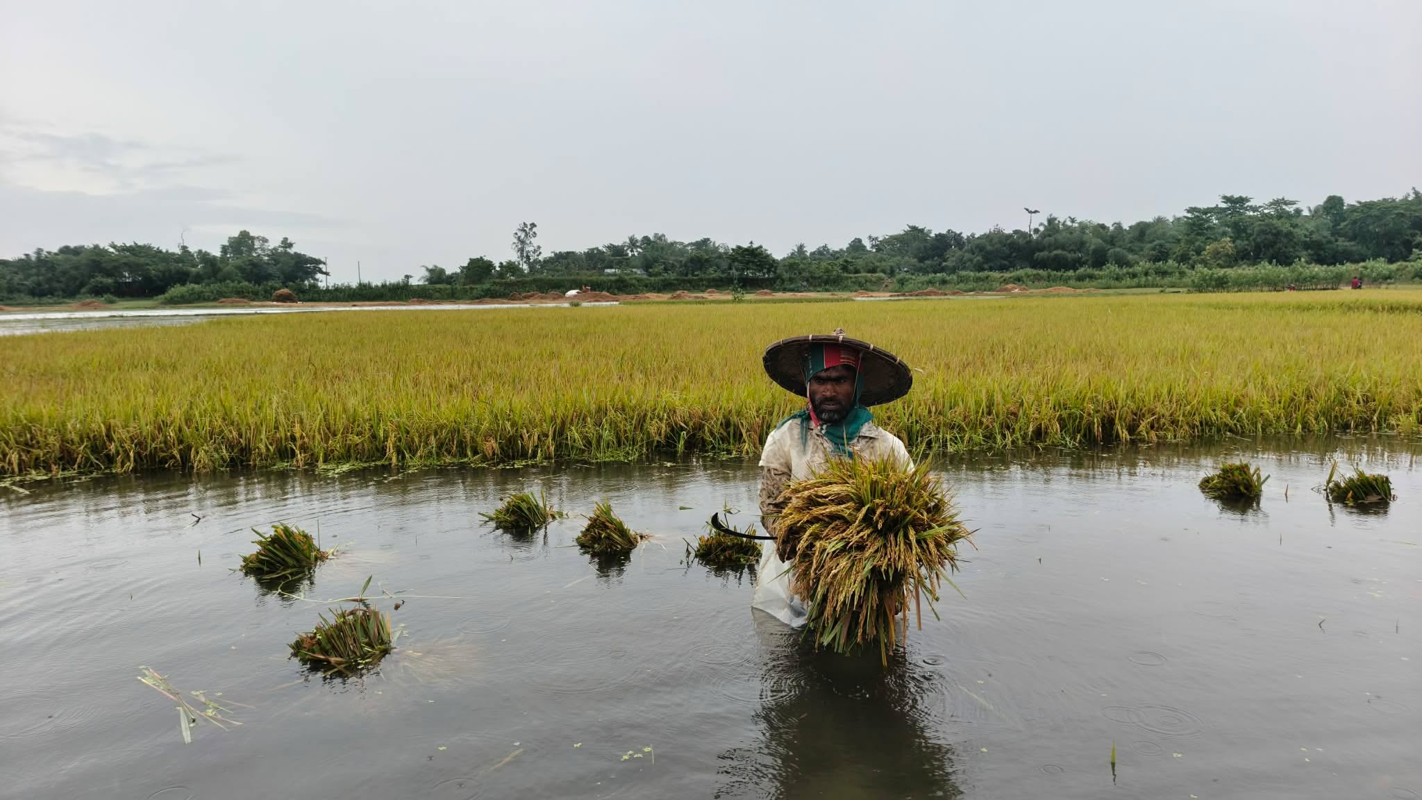 প্রধান উপদেষ্টা পদত্যাগ করবেন না: ফাইজ তাইয়েব আহমেদ