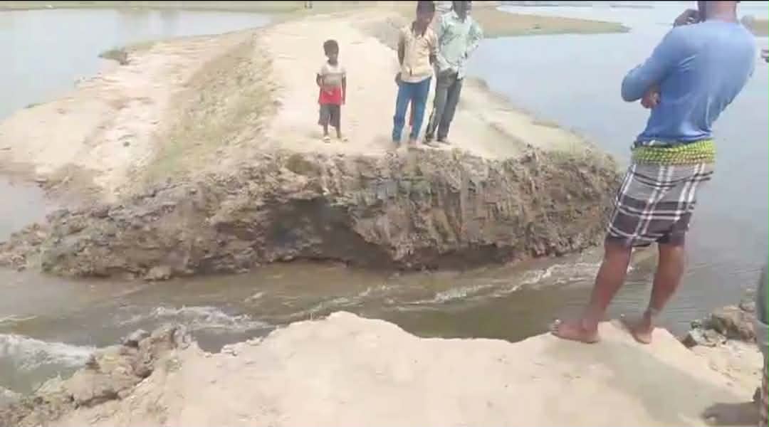 প্রধান উপদেষ্টা পদত্যাগ করবেন না: ফাইজ তাইয়েব আহমেদ