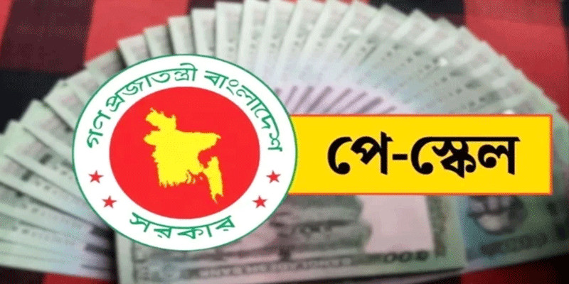 প্রধান উপদেষ্টা পদত্যাগ করবেন না: ফাইজ তাইয়েব আহমেদ