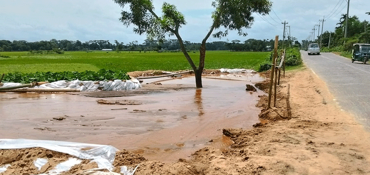 প্রধান উপদেষ্টা পদত্যাগ করবেন না: ফাইজ তাইয়েব আহমেদ