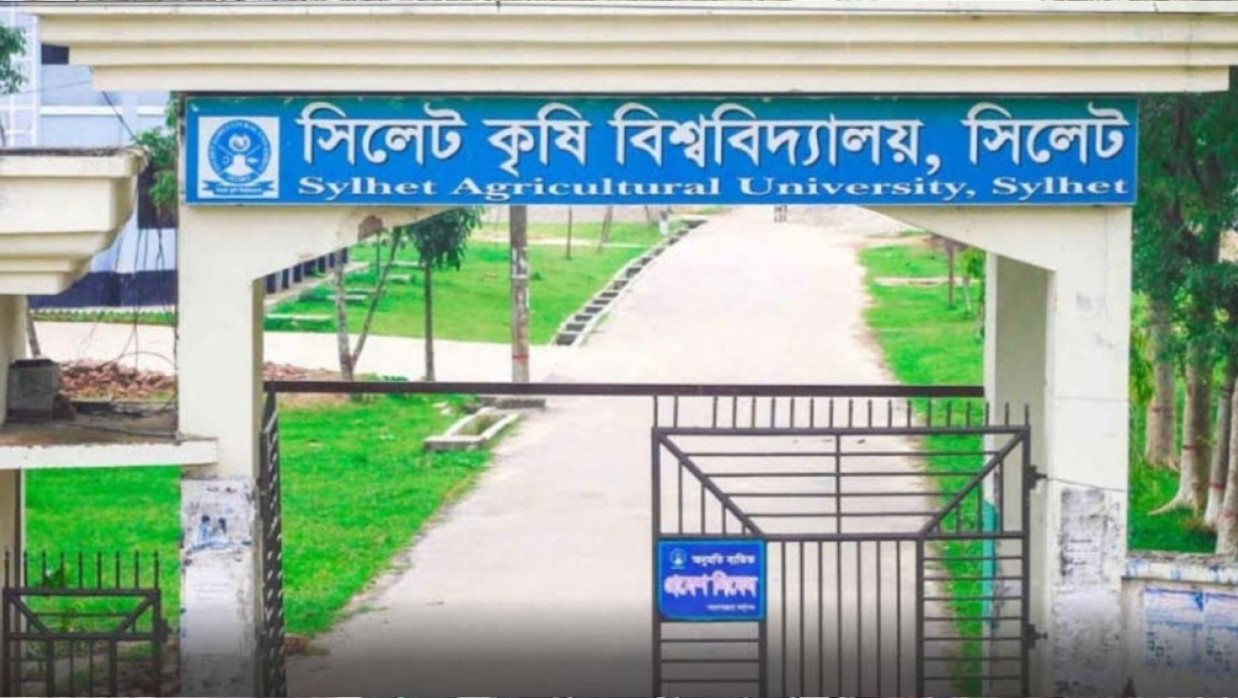 প্রধান উপদেষ্টা পদত্যাগ করবেন না: ফাইজ তাইয়েব আহমেদ