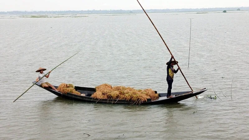 প্রধান উপদেষ্টা পদত্যাগ করবেন না: ফাইজ তাইয়েব আহমেদ