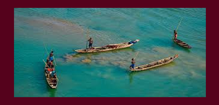 প্রধান উপদেষ্টা পদত্যাগ করবেন না: ফাইজ তাইয়েব আহমেদ