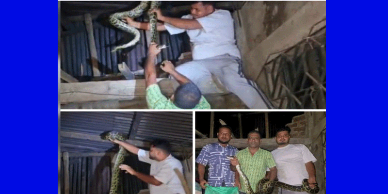 প্রধান উপদেষ্টা পদত্যাগ করবেন না: ফাইজ তাইয়েব আহমেদ