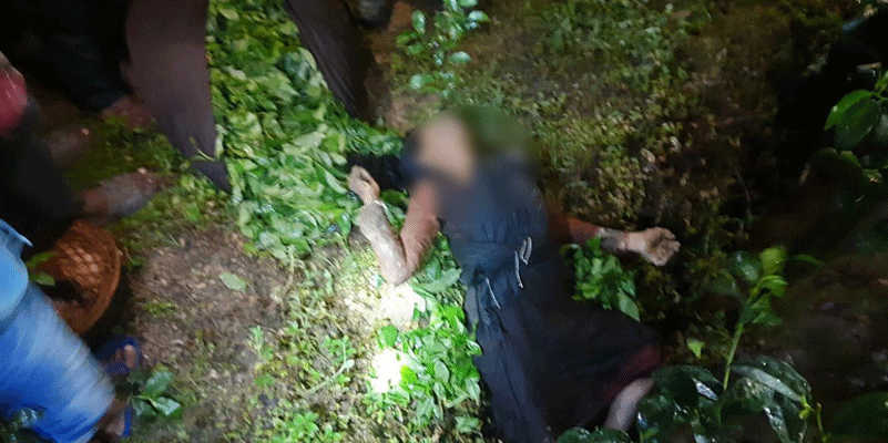 প্রধান উপদেষ্টা পদত্যাগ করবেন না: ফাইজ তাইয়েব আহমেদ