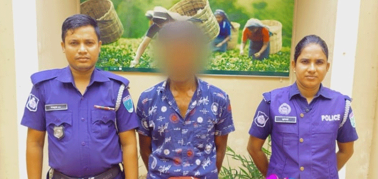 প্রধান উপদেষ্টা পদত্যাগ করবেন না: ফাইজ তাইয়েব আহমেদ