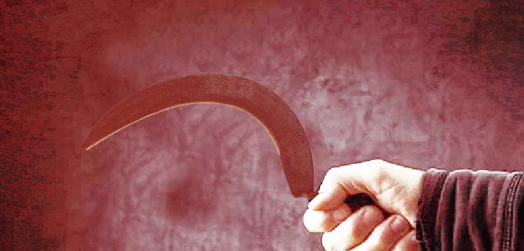 প্রধান উপদেষ্টা পদত্যাগ করবেন না: ফাইজ তাইয়েব আহমেদ