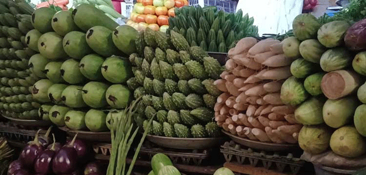 প্রধান উপদেষ্টা পদত্যাগ করবেন না: ফাইজ তাইয়েব আহমেদ