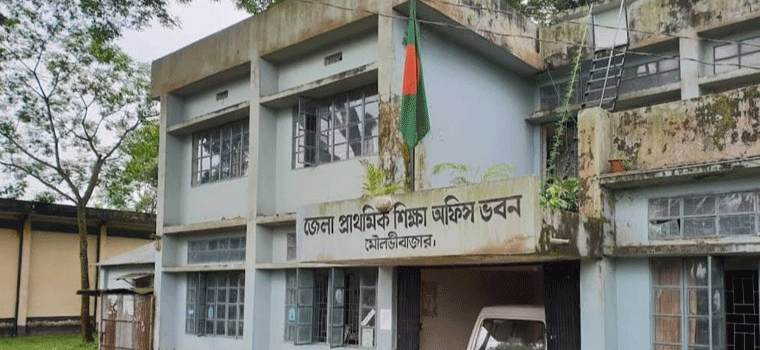 প্রধান উপদেষ্টা পদত্যাগ করবেন না: ফাইজ তাইয়েব আহমেদ