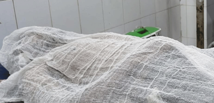 প্রধান উপদেষ্টা পদত্যাগ করবেন না: ফাইজ তাইয়েব আহমেদ