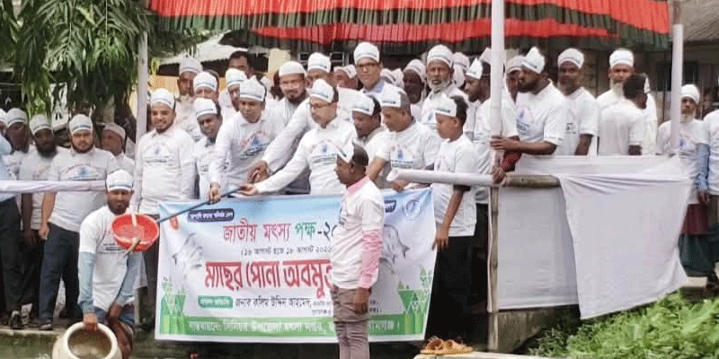 প্রধান উপদেষ্টা পদত্যাগ করবেন না: ফাইজ তাইয়েব আহমেদ