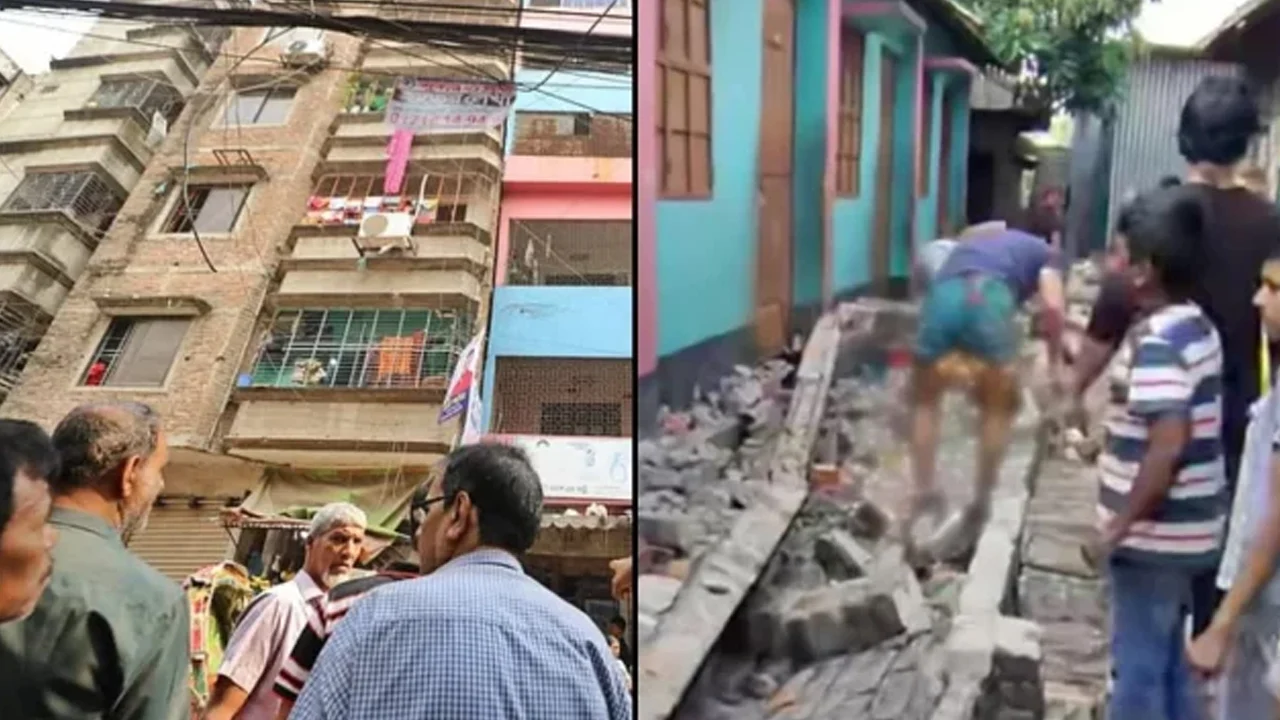 প্রধান উপদেষ্টা পদত্যাগ করবেন না: ফাইজ তাইয়েব আহমেদ