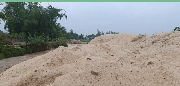 প্রধান উপদেষ্টা পদত্যাগ করবেন না: ফাইজ তাইয়েব আহমেদ