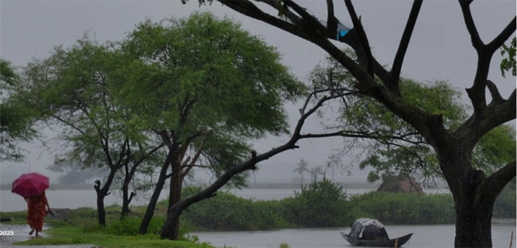 প্রধান উপদেষ্টা পদত্যাগ করবেন না: ফাইজ তাইয়েব আহমেদ