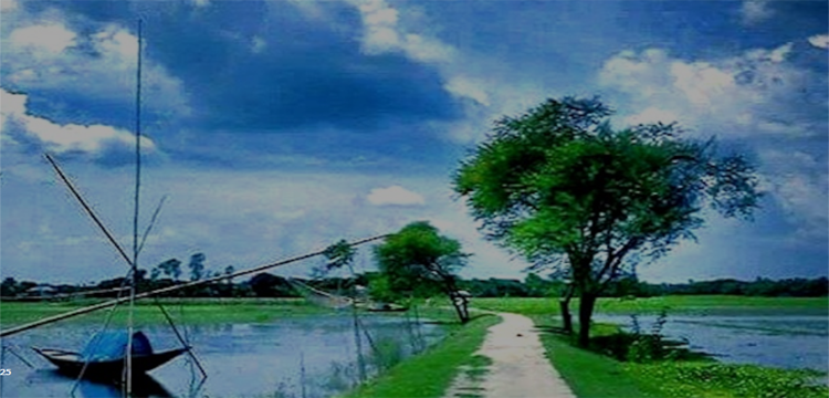 প্রধান উপদেষ্টা পদত্যাগ করবেন না: ফাইজ তাইয়েব আহমেদ