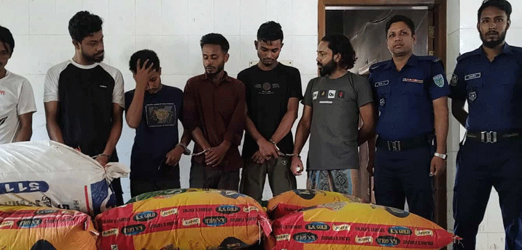 প্রধান উপদেষ্টা পদত্যাগ করবেন না: ফাইজ তাইয়েব আহমেদ