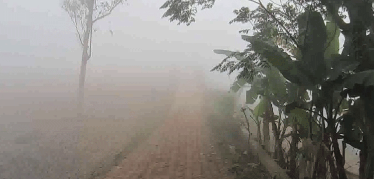 প্রধান উপদেষ্টা পদত্যাগ করবেন না: ফাইজ তাইয়েব আহমেদ