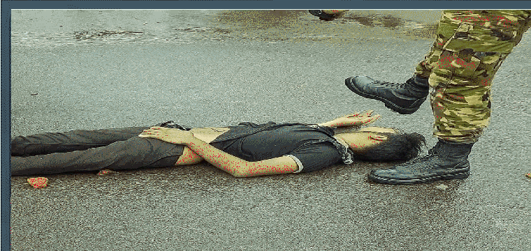 প্রধান উপদেষ্টা পদত্যাগ করবেন না: ফাইজ তাইয়েব আহমেদ