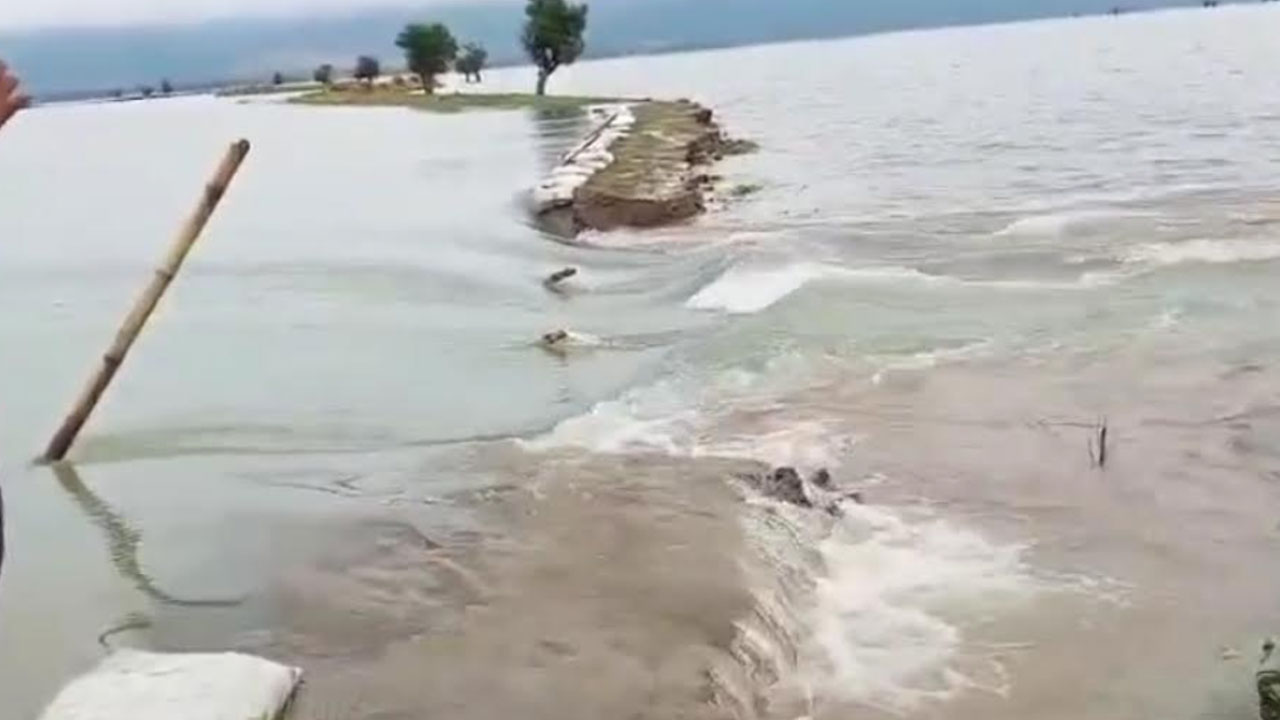 প্রধান উপদেষ্টা পদত্যাগ করবেন না: ফাইজ তাইয়েব আহমেদ
