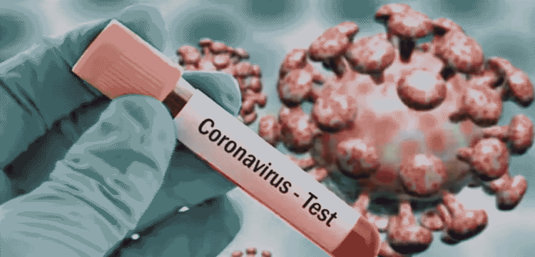 প্রধান উপদেষ্টা পদত্যাগ করবেন না: ফাইজ তাইয়েব আহমেদ