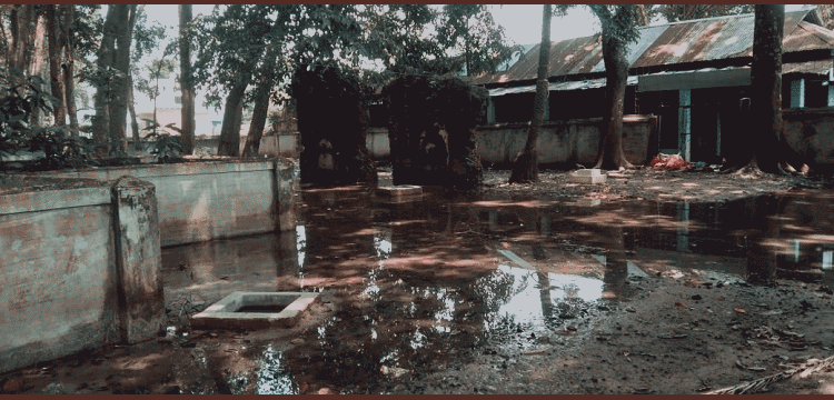 প্রধান উপদেষ্টা পদত্যাগ করবেন না: ফাইজ তাইয়েব আহমেদ