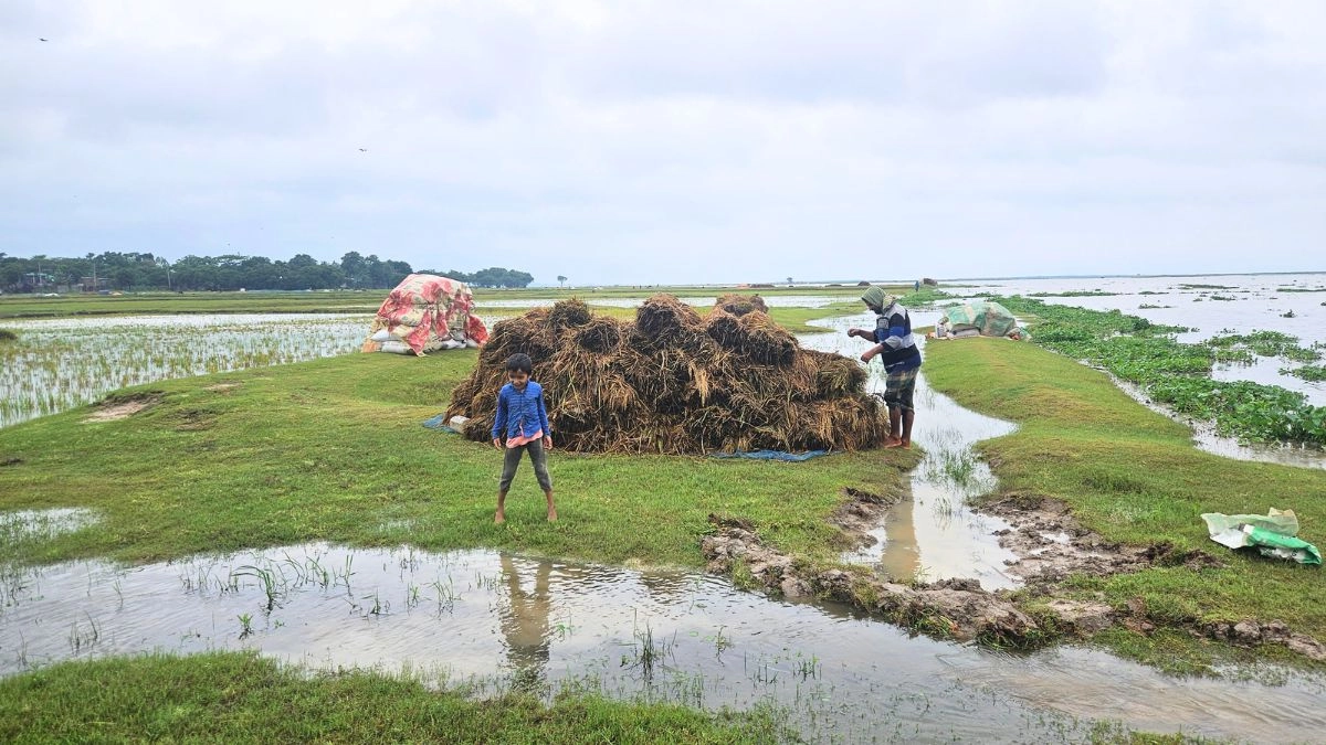 প্রধান উপদেষ্টা পদত্যাগ করবেন না: ফাইজ তাইয়েব আহমেদ